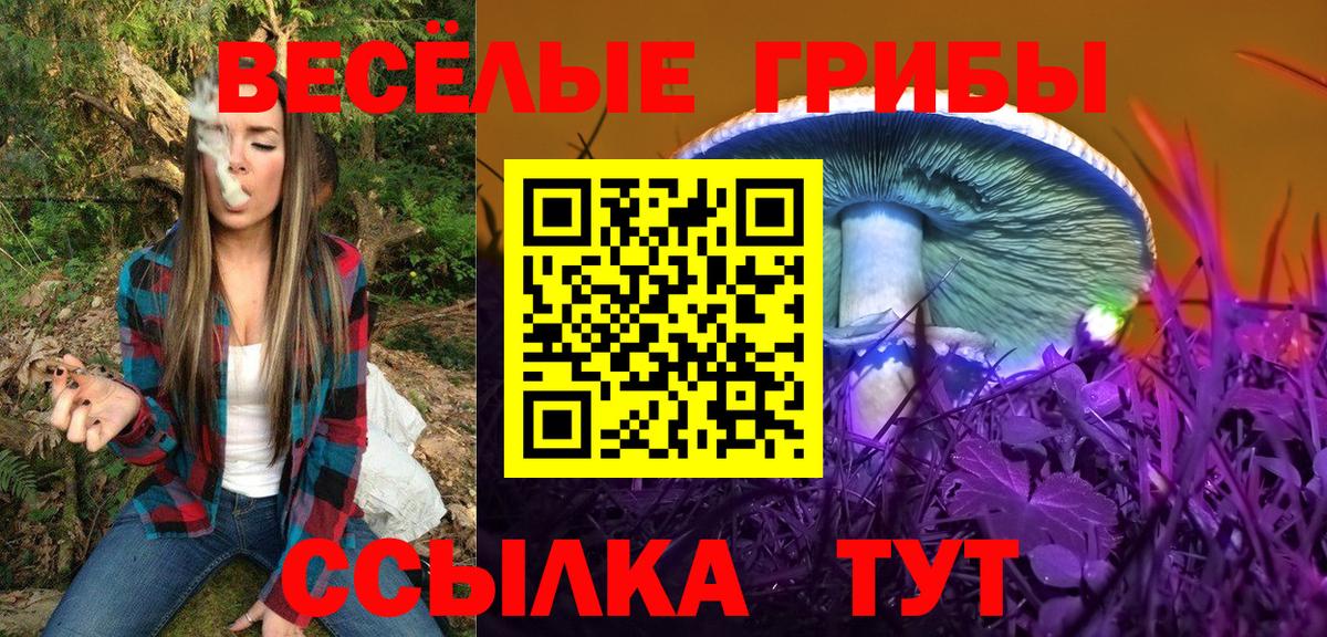 Галлюциногенные грибы Cubensis  Вход с VPN  продажа наркотиков  Мурино 
